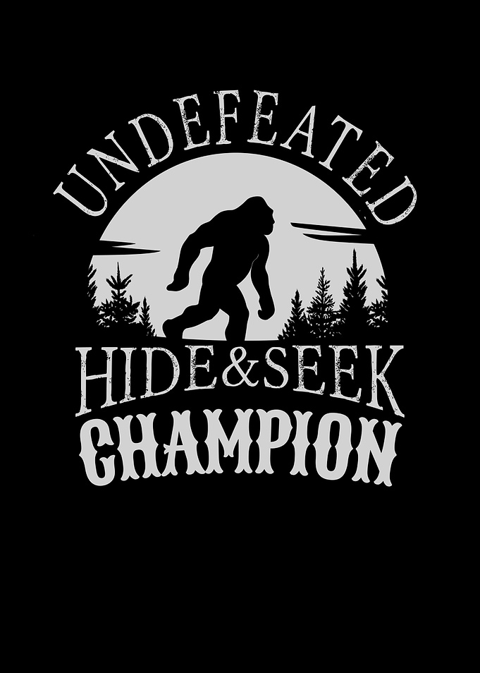 Hide Seek Champion