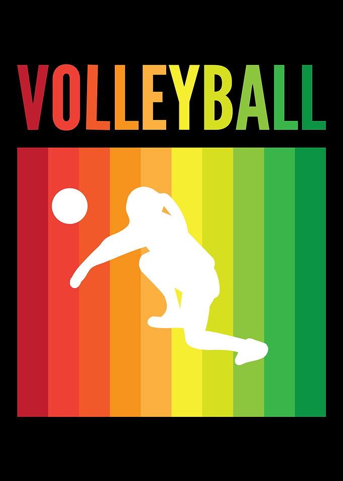 Volleyball Lover