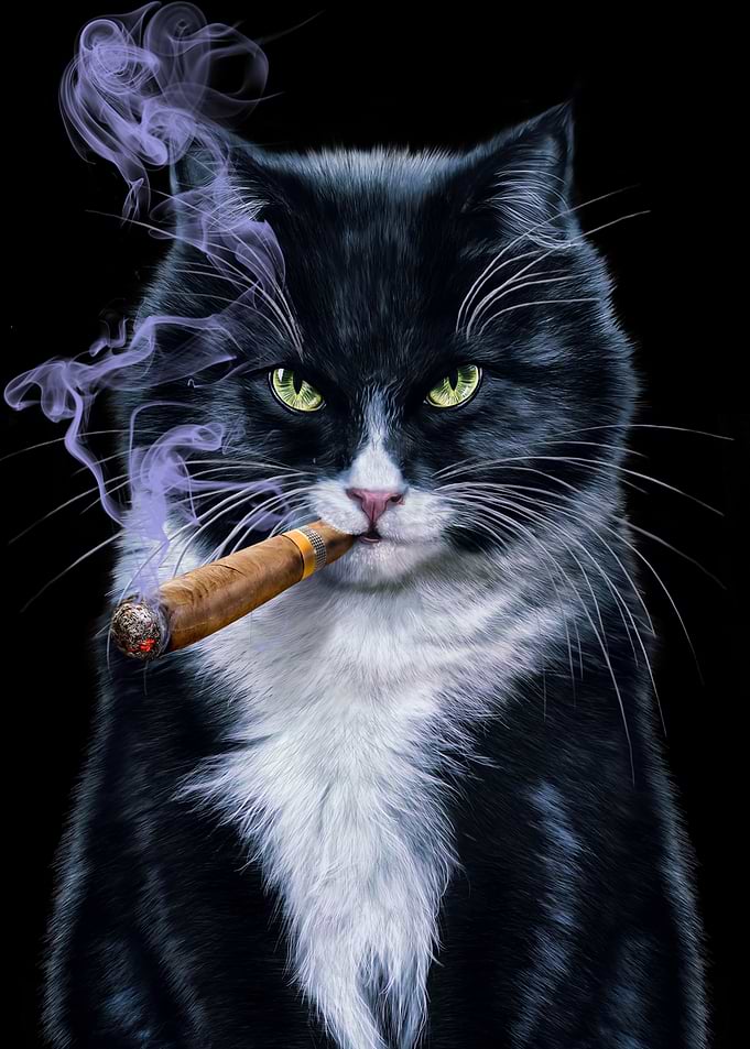 Cool Tuxedo Cat with Cigar