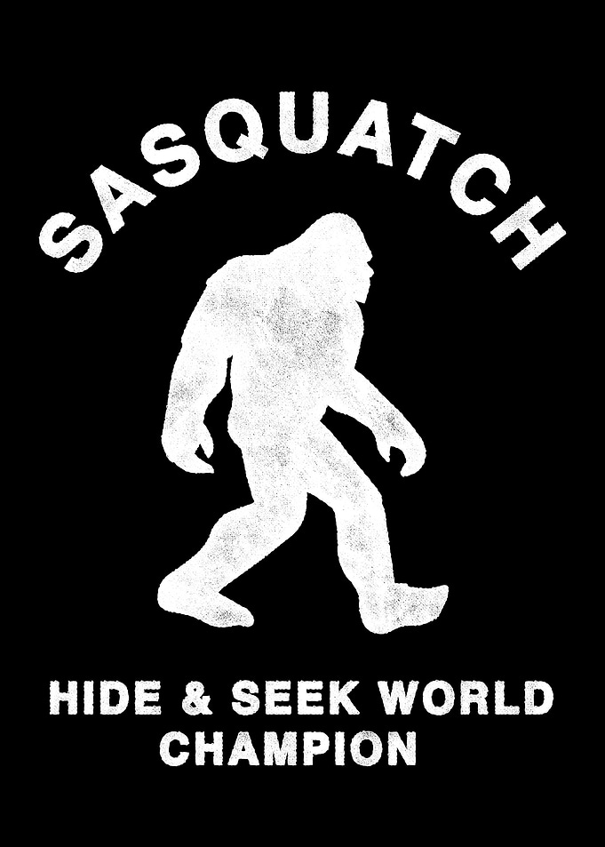 Sasquatch Hide and Seek