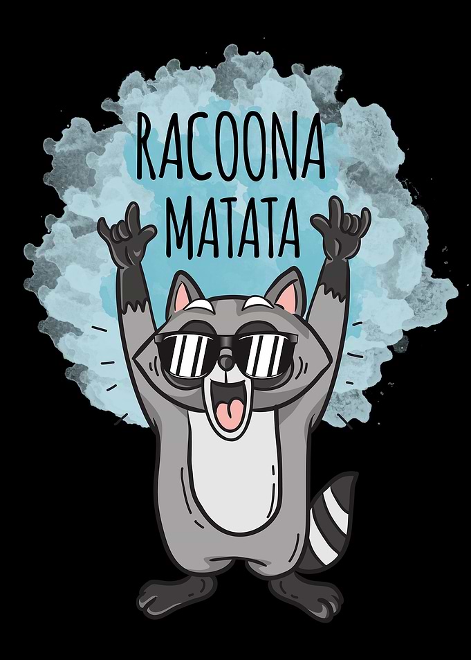 Funny Racoon