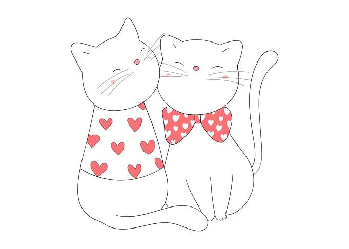 Cute Cat Couple Love