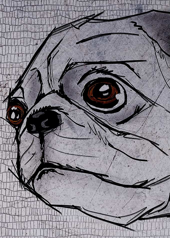 Pug