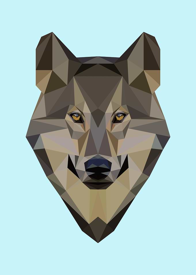 Brown Wolf Graphic Polygon