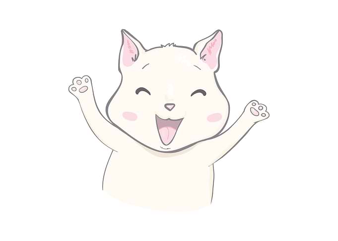 Cute cat expression