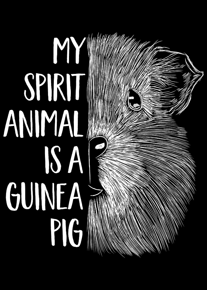 Guinea Pig Spirit Animal