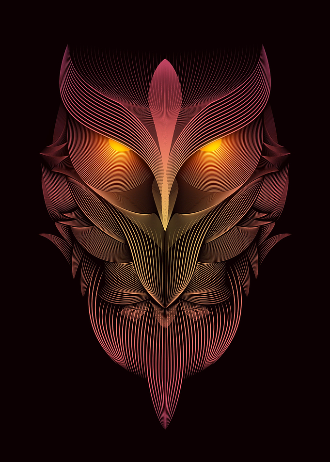 Owl Line Art