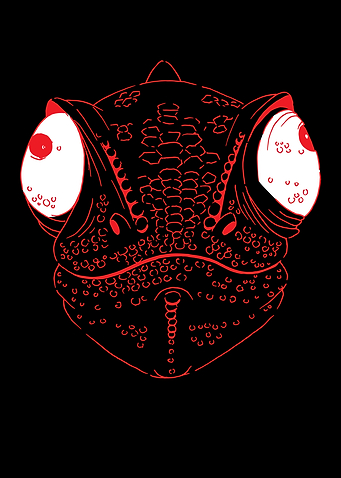 Chamleon Reptile Lizard
