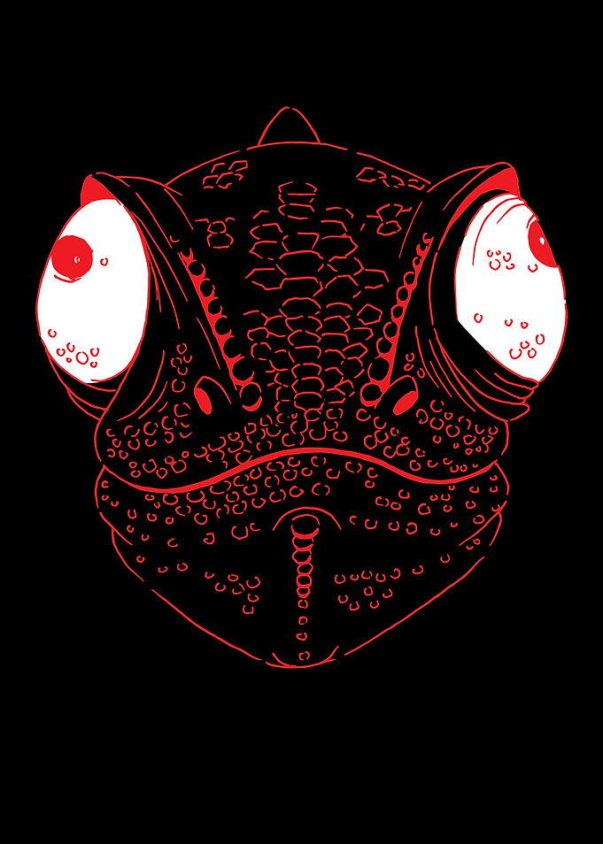Chamleon Reptile Lizard