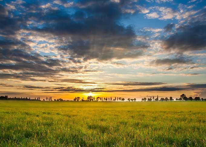Land Nature Meadow Sky Gre