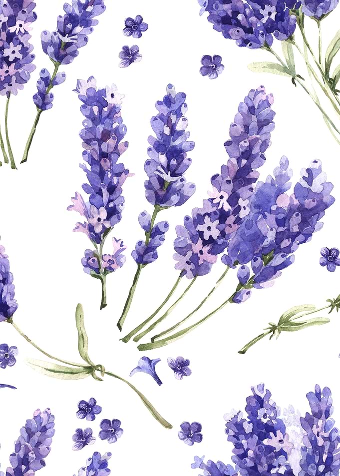 Lavender Pattern 01