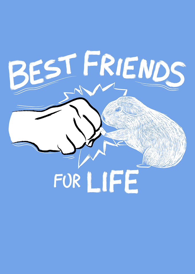 Guinea Pig Best Friends