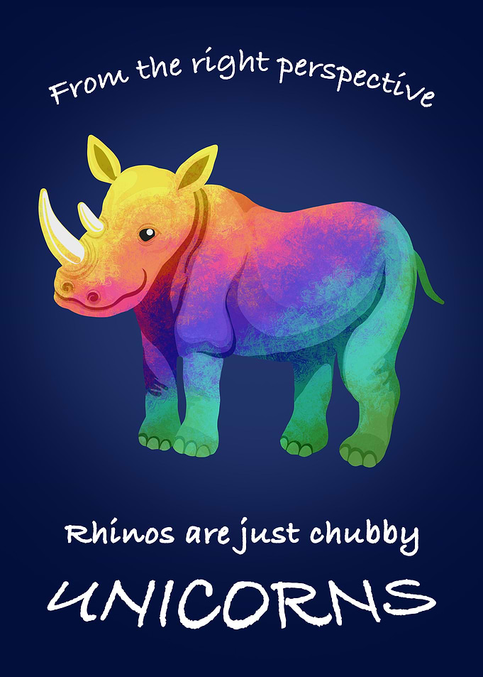 Chubby Unicorn