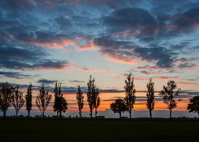 Sky Silhouette Landscape T