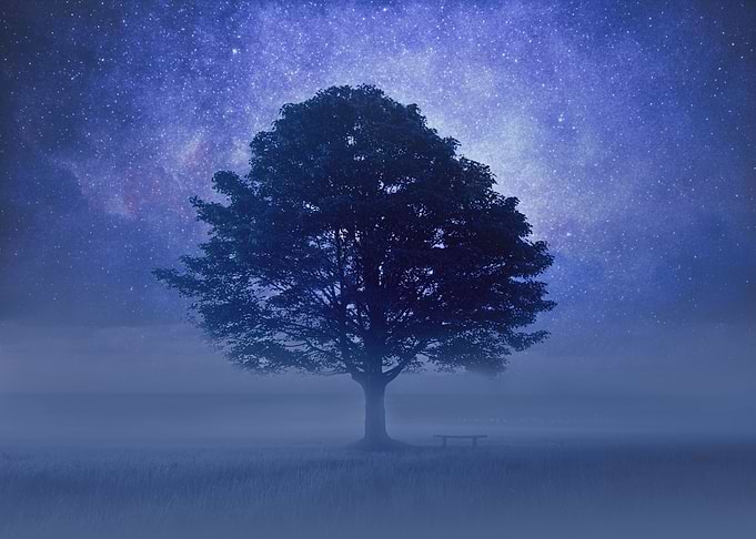 starry tree