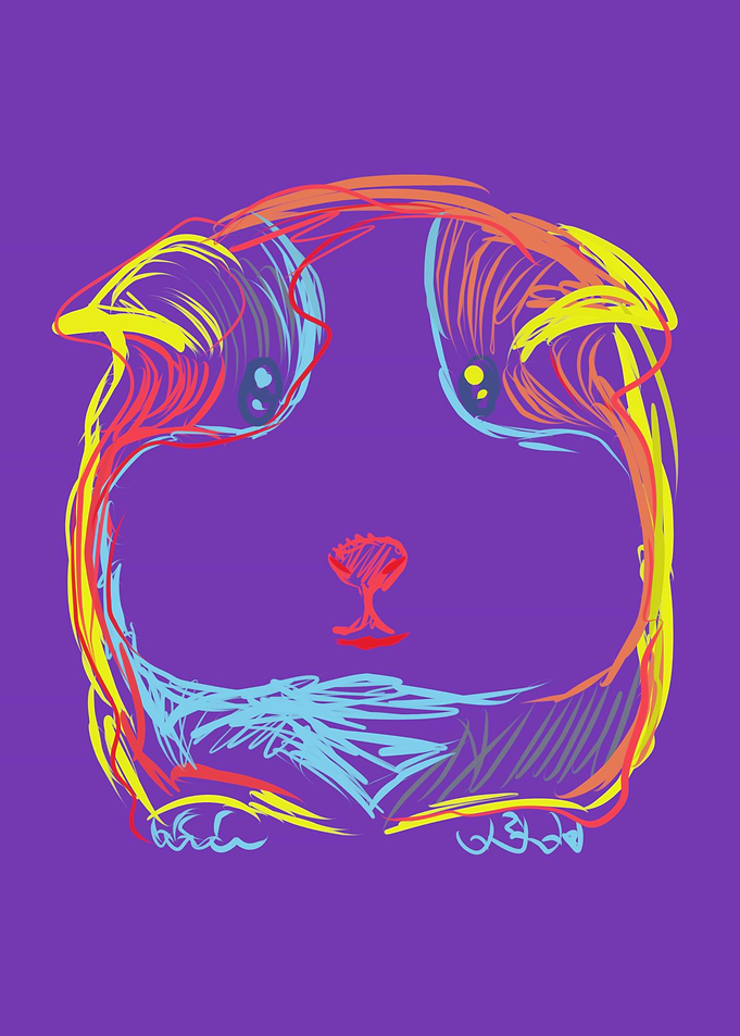 Guinea Pig Doodle