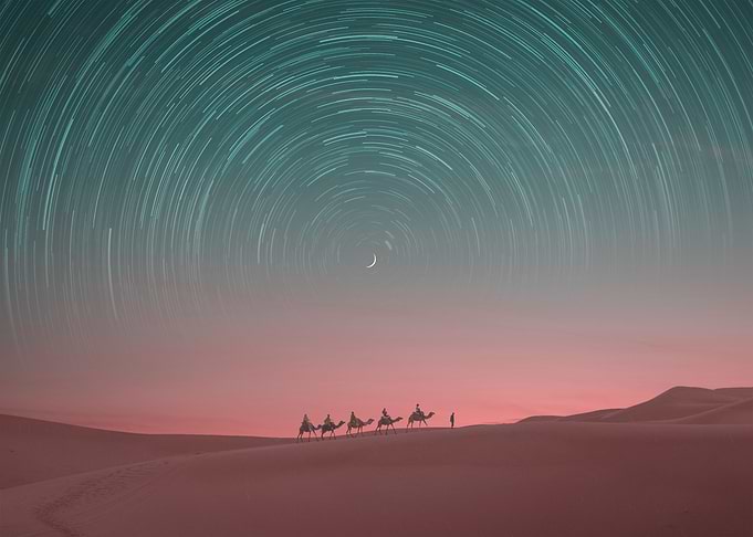 exploring the desert