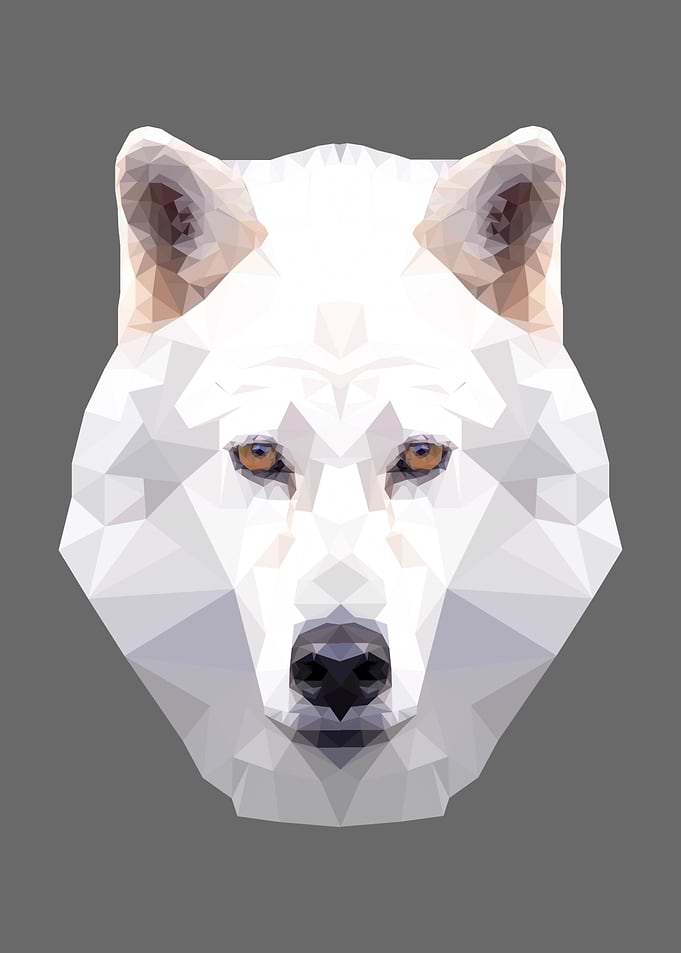 White Wolf Polygon Graphic