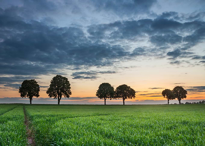 Land Nature Meadow Sky Gre