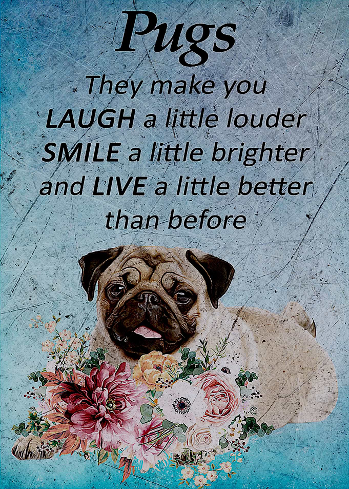 Pug