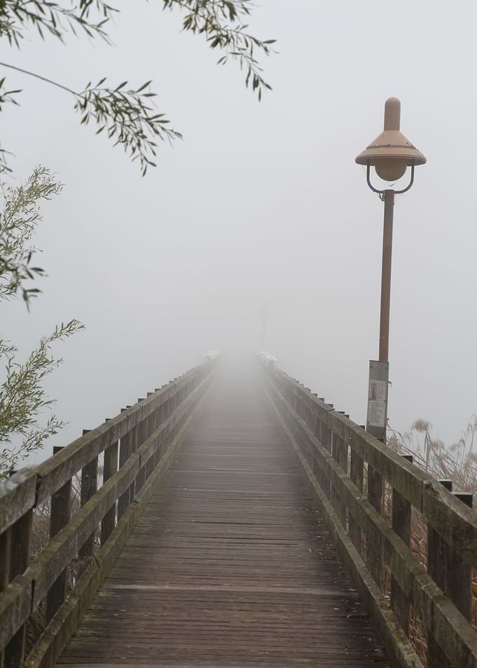 Brcke im Nebel am Rhein