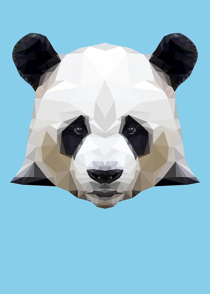 Panda Graphic Polygon