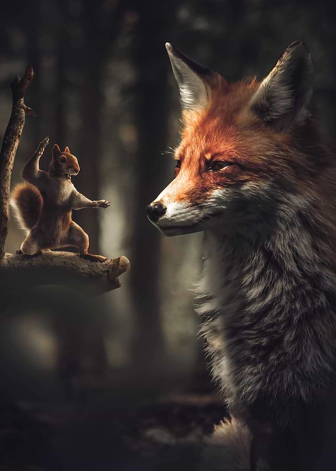 Kung Fu Squirrel