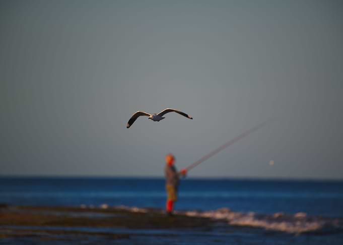 An Old Man Beach Fishing