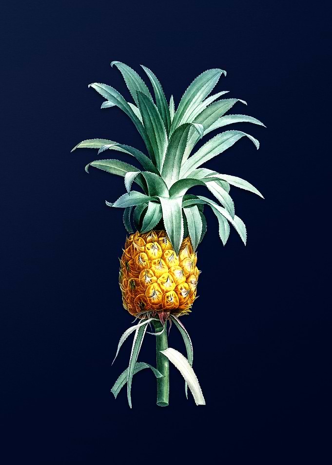 Pineapple on Royal Blue