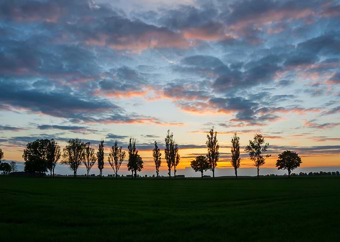 Sky Silhouette Landscape T