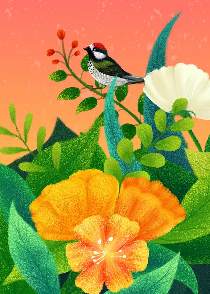 Beautiful Flowers and Bird
