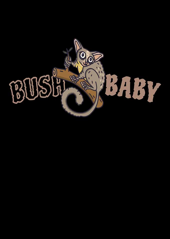 Bush Baby Galagos Monkey