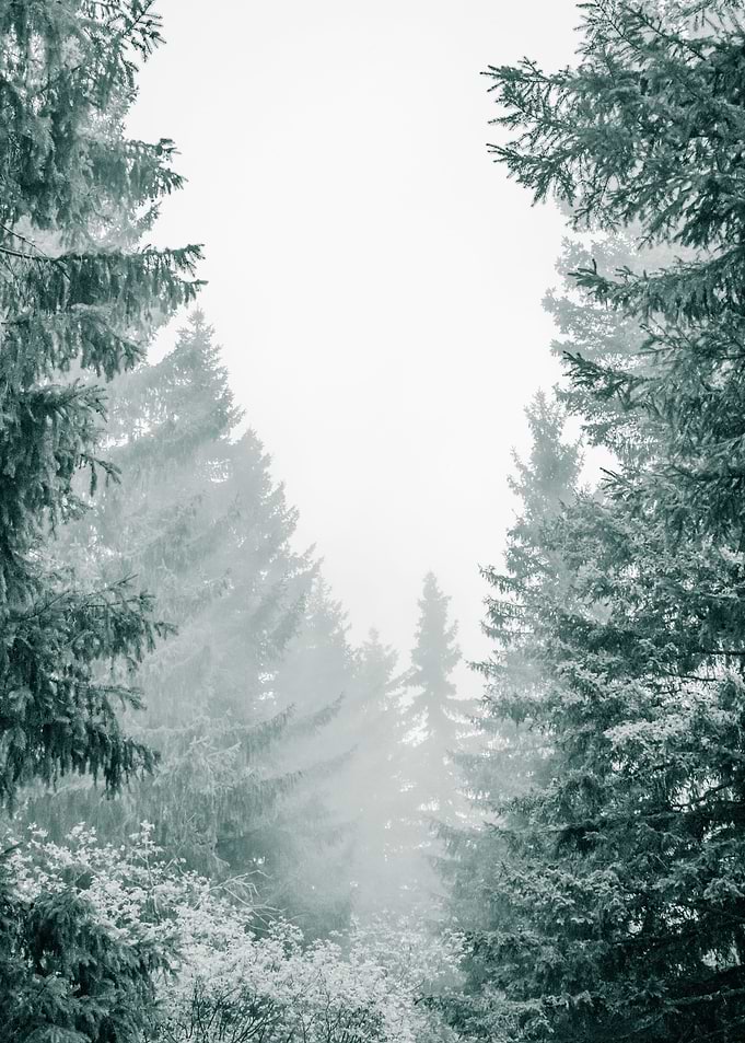 Place of Secrets