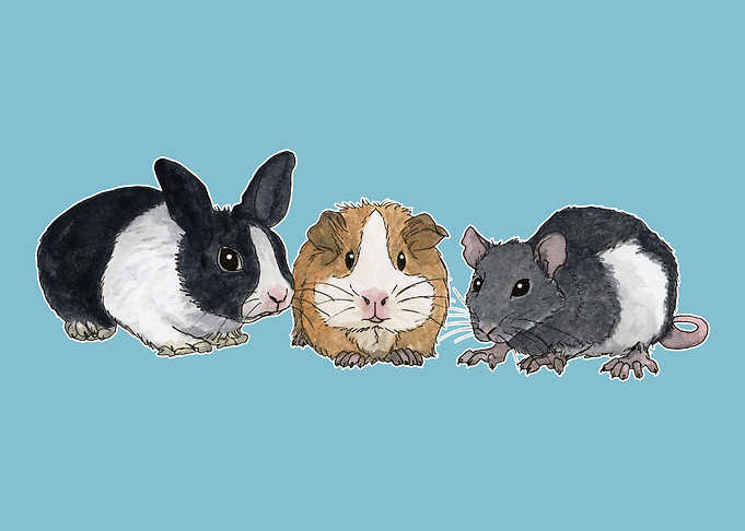 Rodents friends