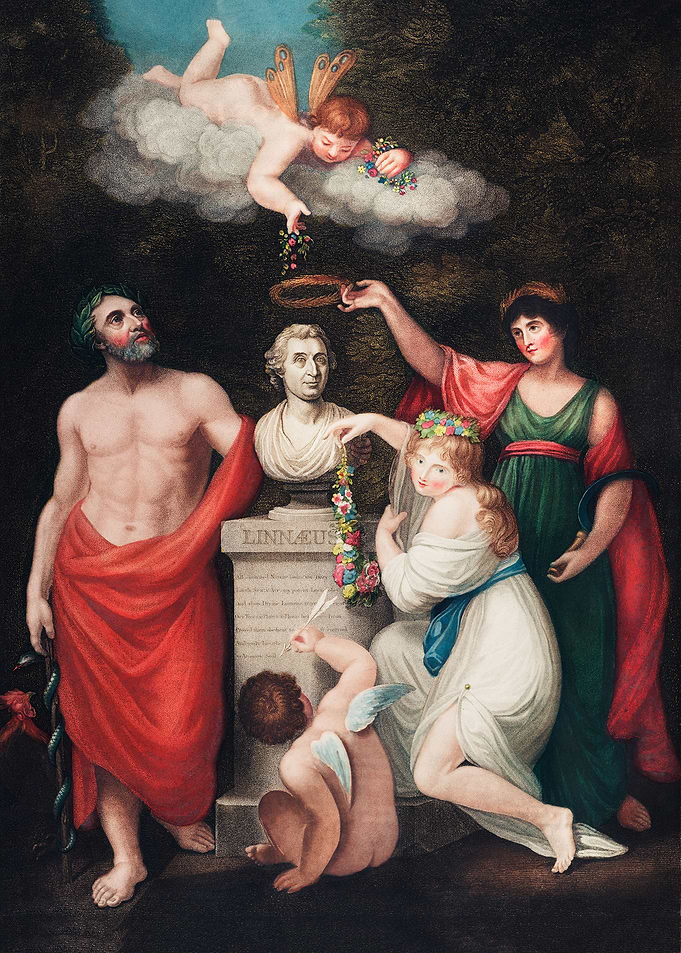 Cupid
