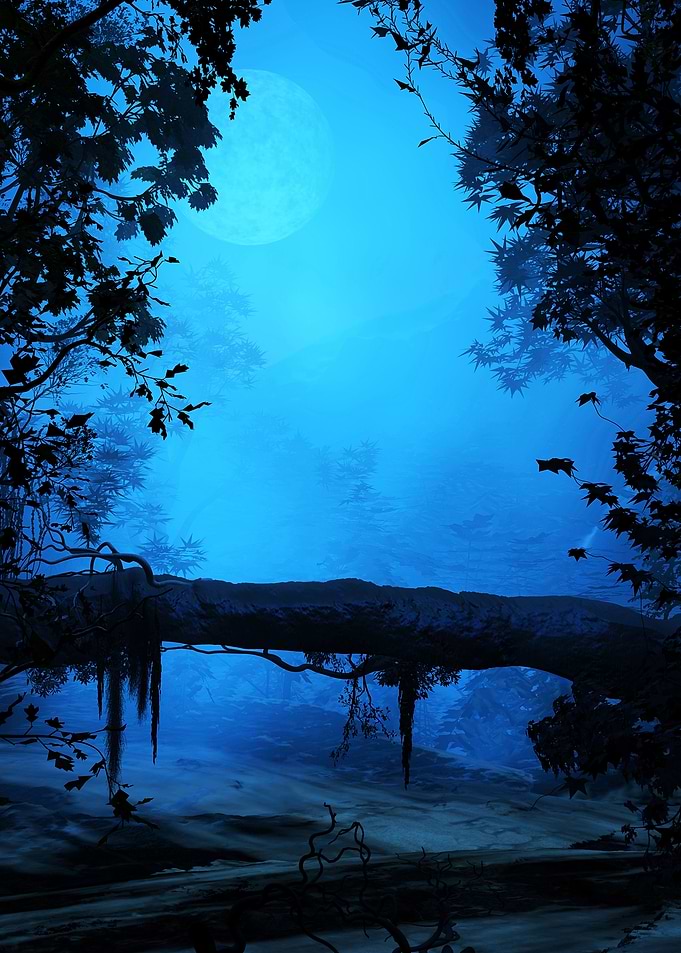 Mysterious Grove