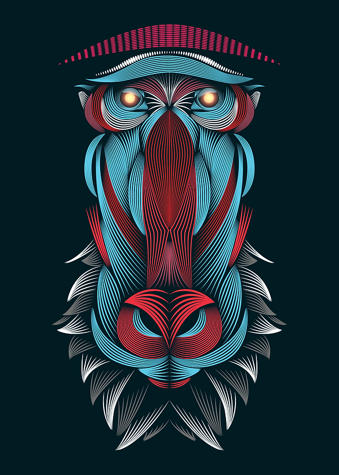 Mandrill Line Art