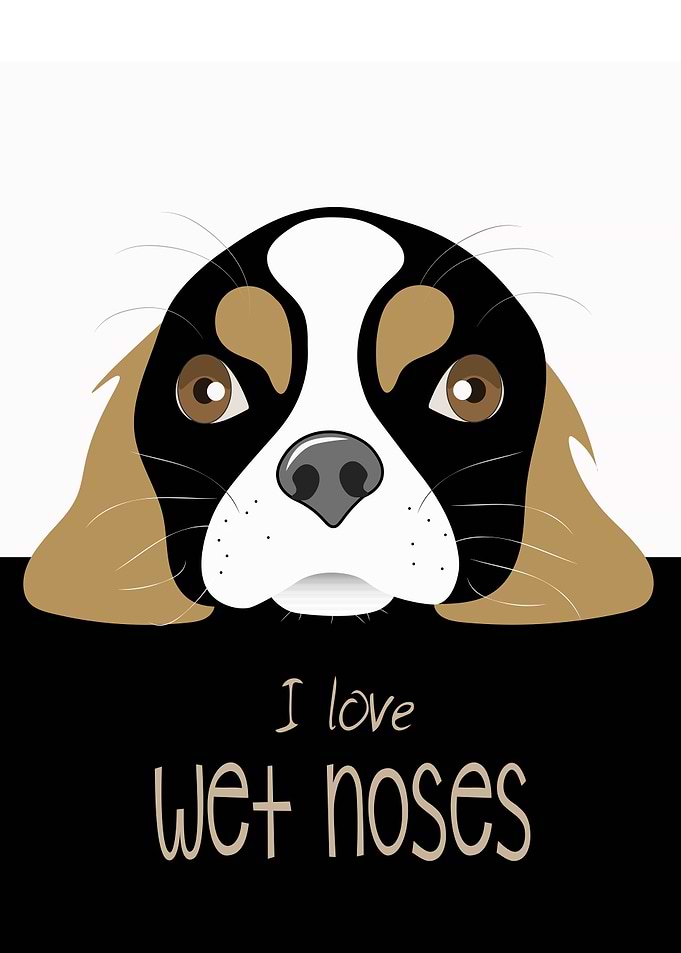 Wet Noses