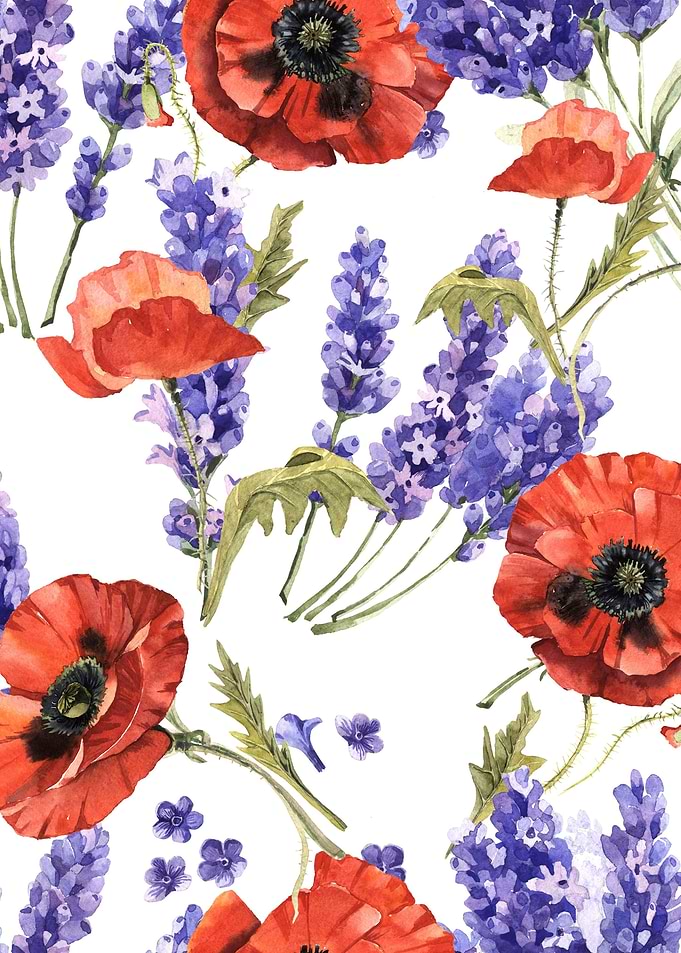 Lavender Pattern 02