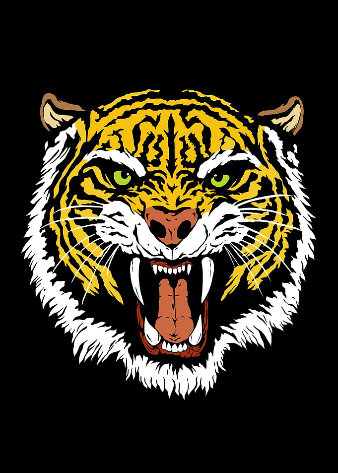 Tiger Face