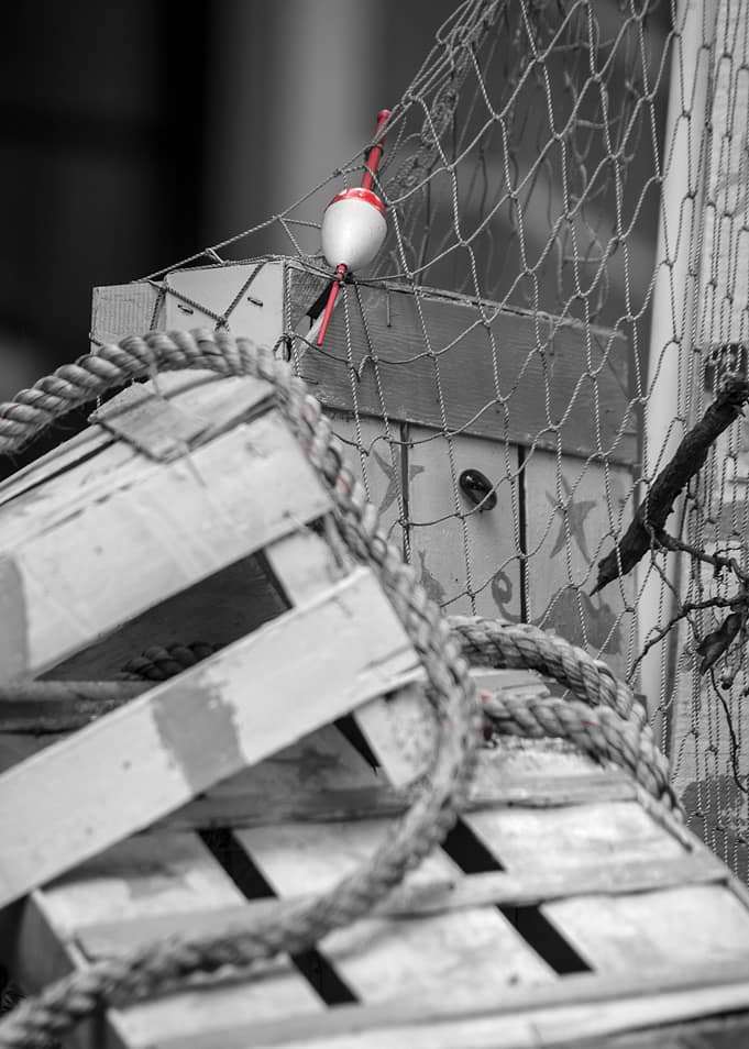 Fishing Tackle
