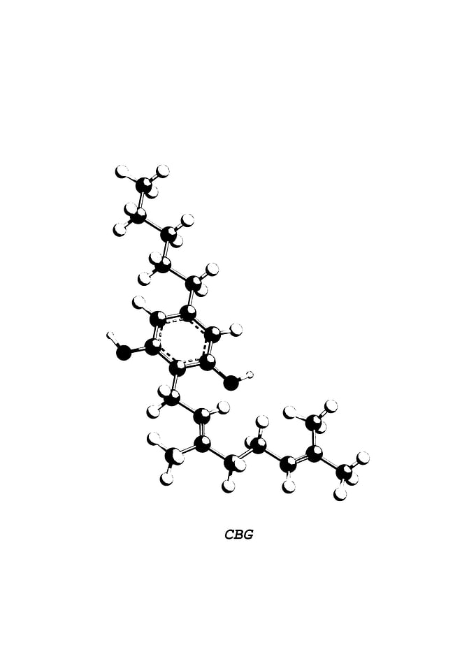 CBG