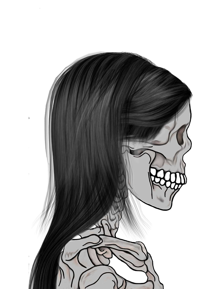 Skull