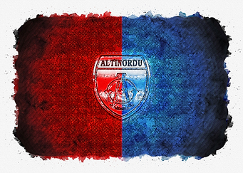 Altinordu FK