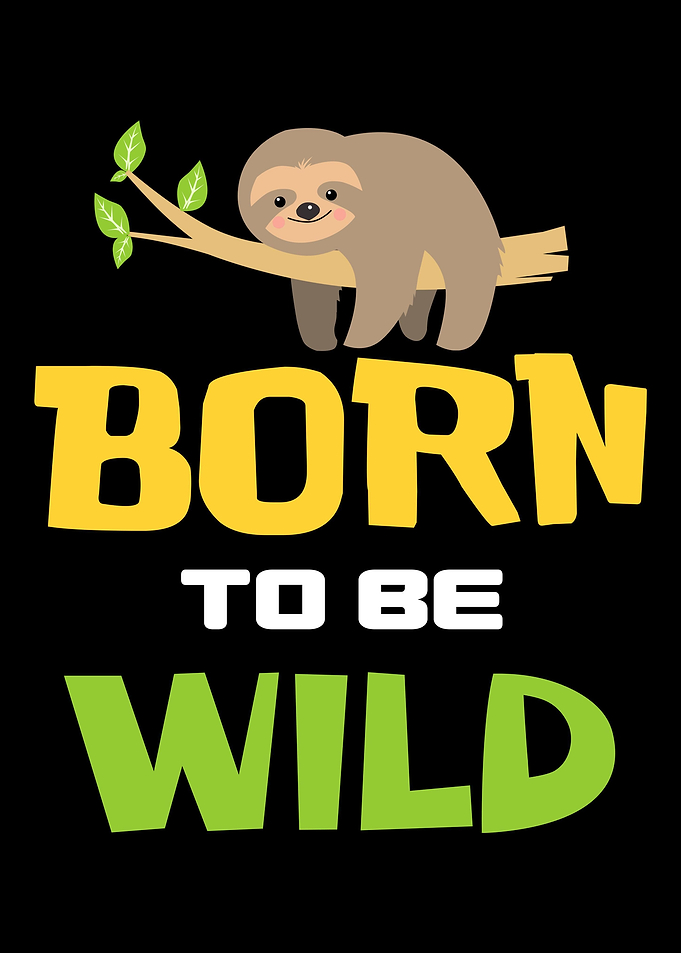 sloth