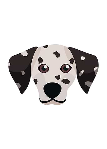 Dalmatian Dog Face