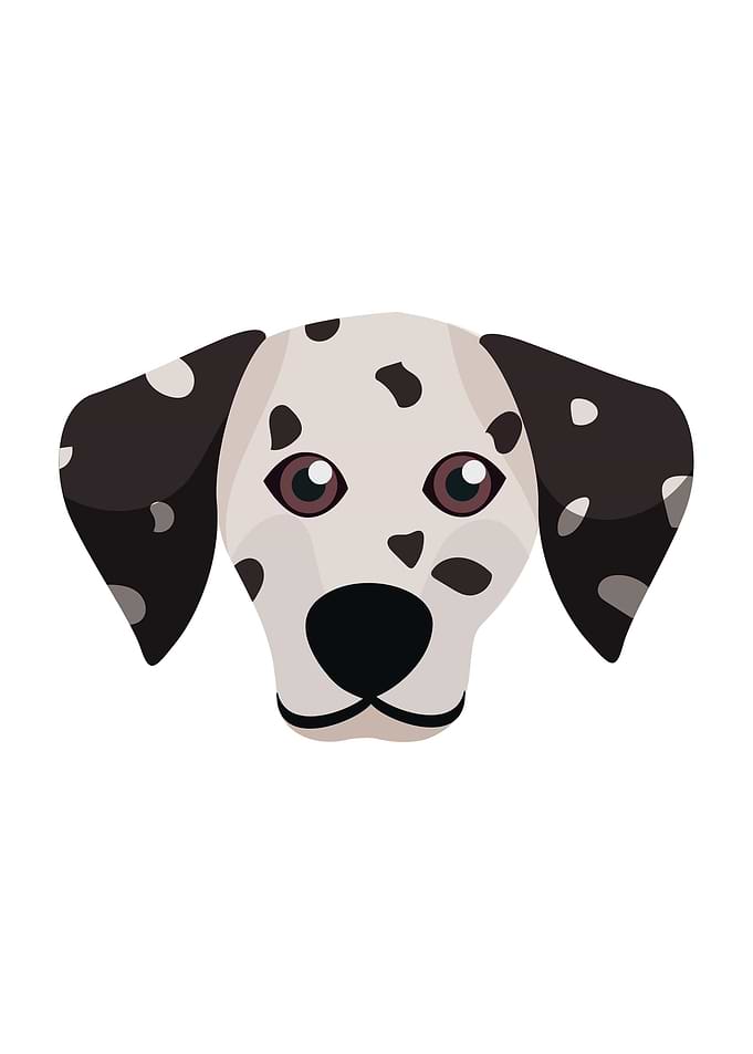 Dalmatian Dog Face