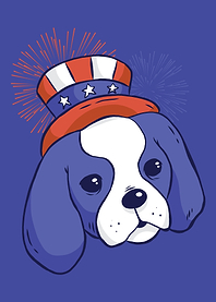 American flag dog hat