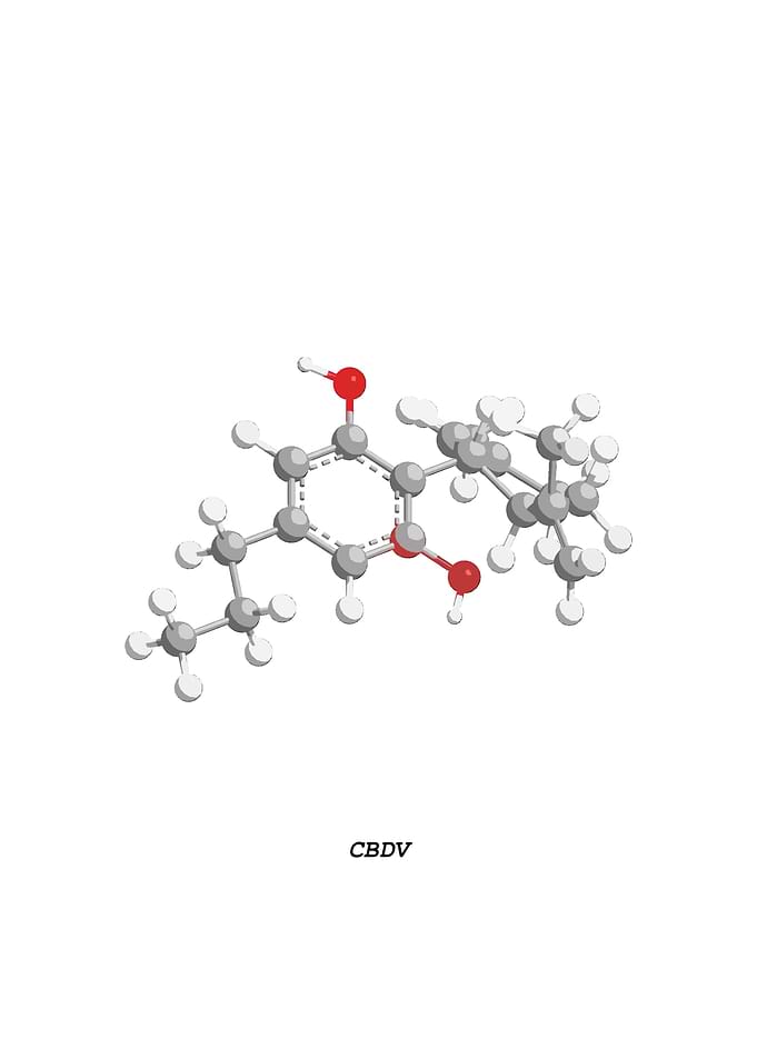 CBDV