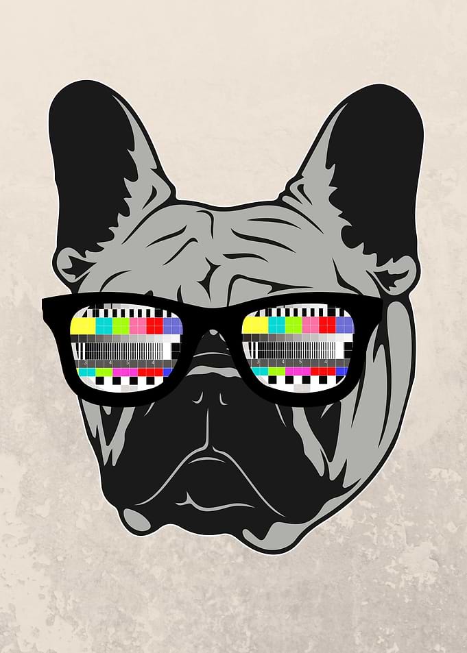 Frenchie Vintage 80s